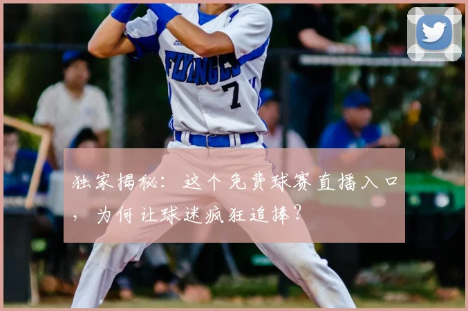 独家揭秘：这个免费球赛直播入口，为何让球迷疯狂追捧？