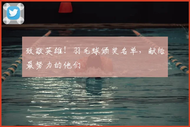 致敬英雄！羽毛球颁奖名单，献给最努力的他们