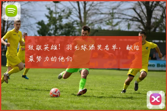 致敬英雄！羽毛球颁奖名单，献给最努力的他们