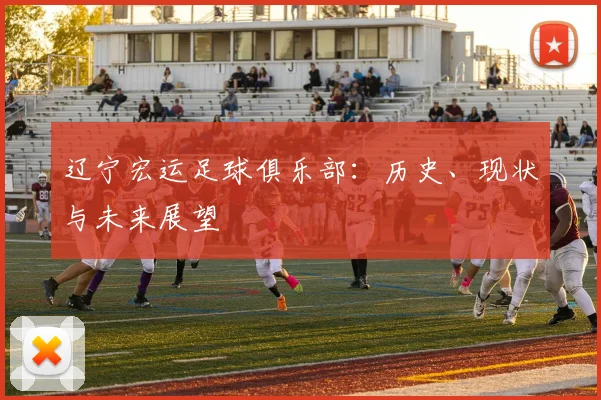 辽宁宏运足球俱乐部：历史、现状与未来展望
