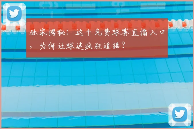 独家揭秘：这个免费球赛直播入口，为何让球迷疯狂追捧？