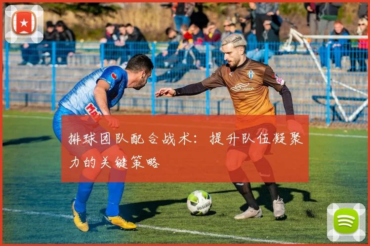 排球团队配合战术:提升队伍凝聚力的关键策略